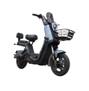 BICICLETA ELÉCTRICA EVOBIKE GRIS  AURORA